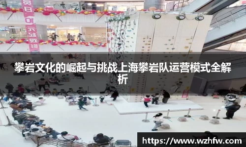 攀岩文化的崛起与挑战上海攀岩队运营模式全解析
