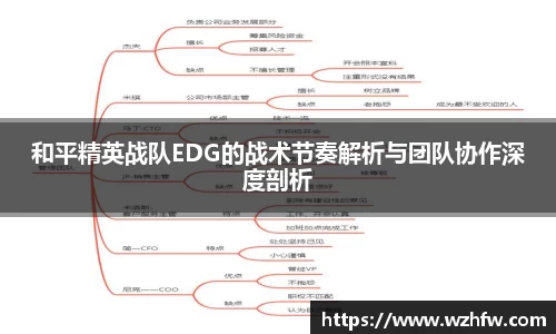 和平精英战队EDG的战术节奏解析与团队协作深度剖析