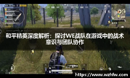 中欧体育