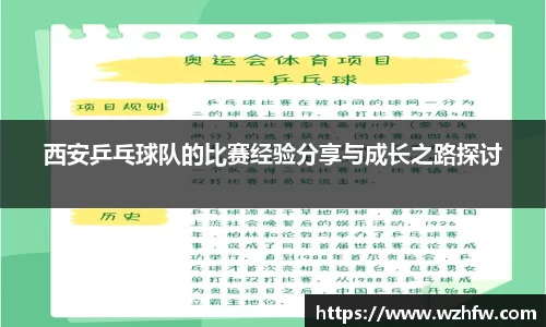 zoty中欧