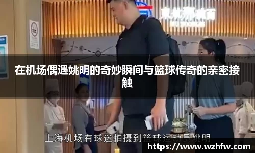 zoty中欧官方网站