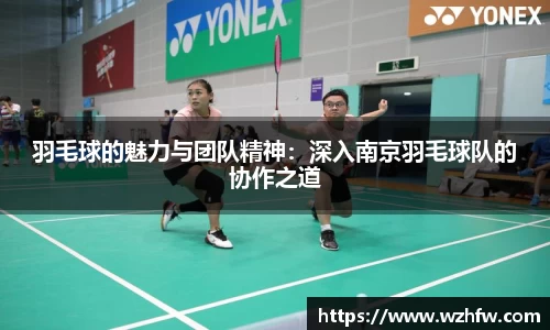 中欧体育