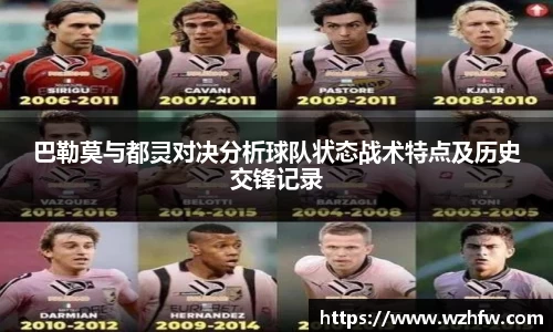 zoty中欧