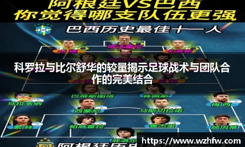 中欧体育