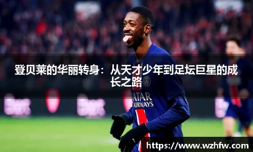 zoty中欧官方网站