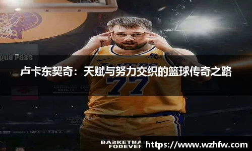 中欧体育