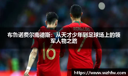 中欧体育