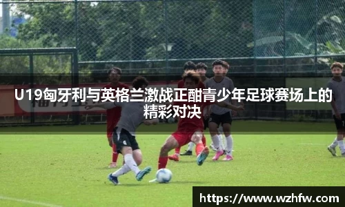 中欧体育
