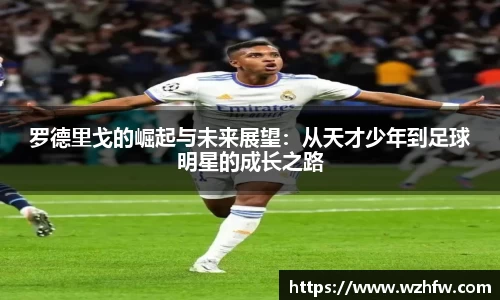 中欧体育