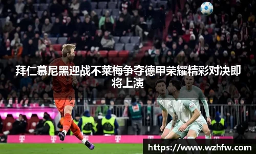 zoty中欧官网